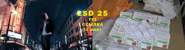 PSILOCYBIN Белокуриха