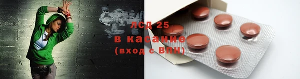 ПСИЛОЦИБИНОВЫЕ ГРИБЫ Беломорск
