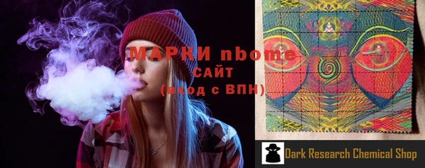 PSILOCYBIN Белокуриха